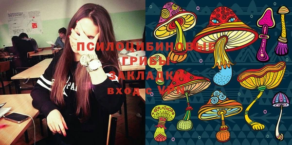 герыч Алексин