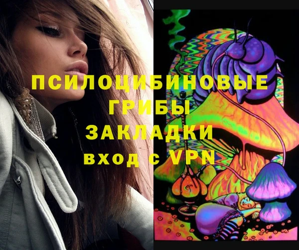 бутират Алексеевка