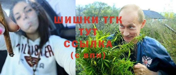 гидропоника Алзамай