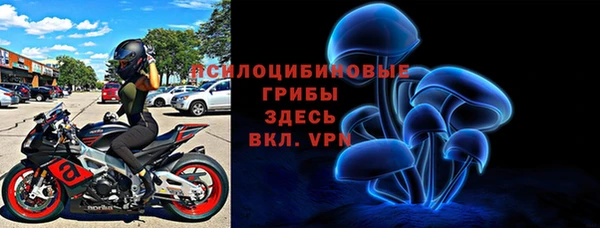 гидропоника Алзамай