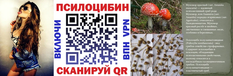 Галлюциногенные грибы мухоморы  магазин продажи наркотиков  Кольчугино 
